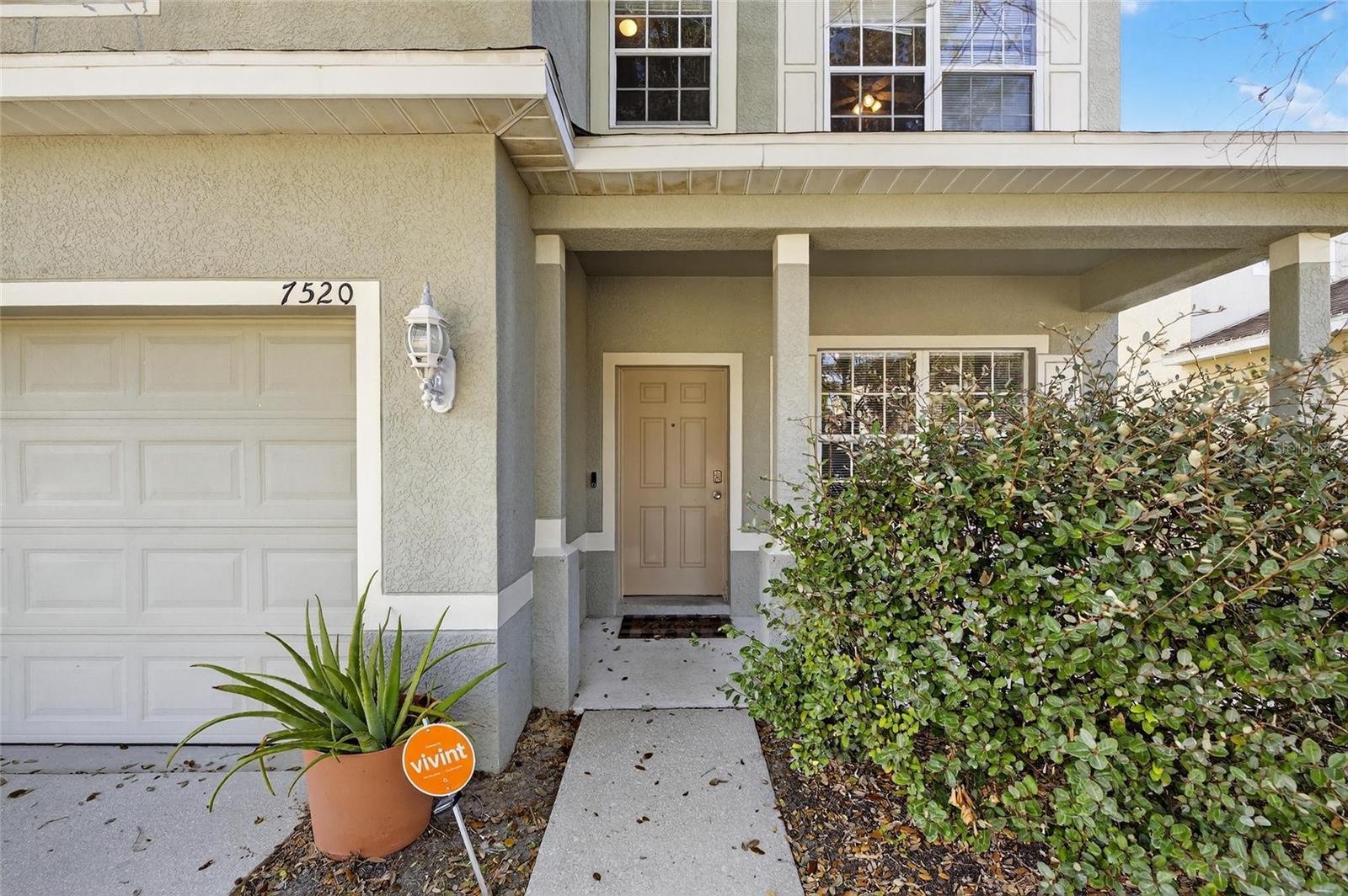 7520 DRAGON FLY LOOP