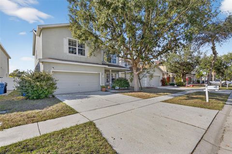 7520 DRAGON FLY LOOP GIBSONTON FL 33534