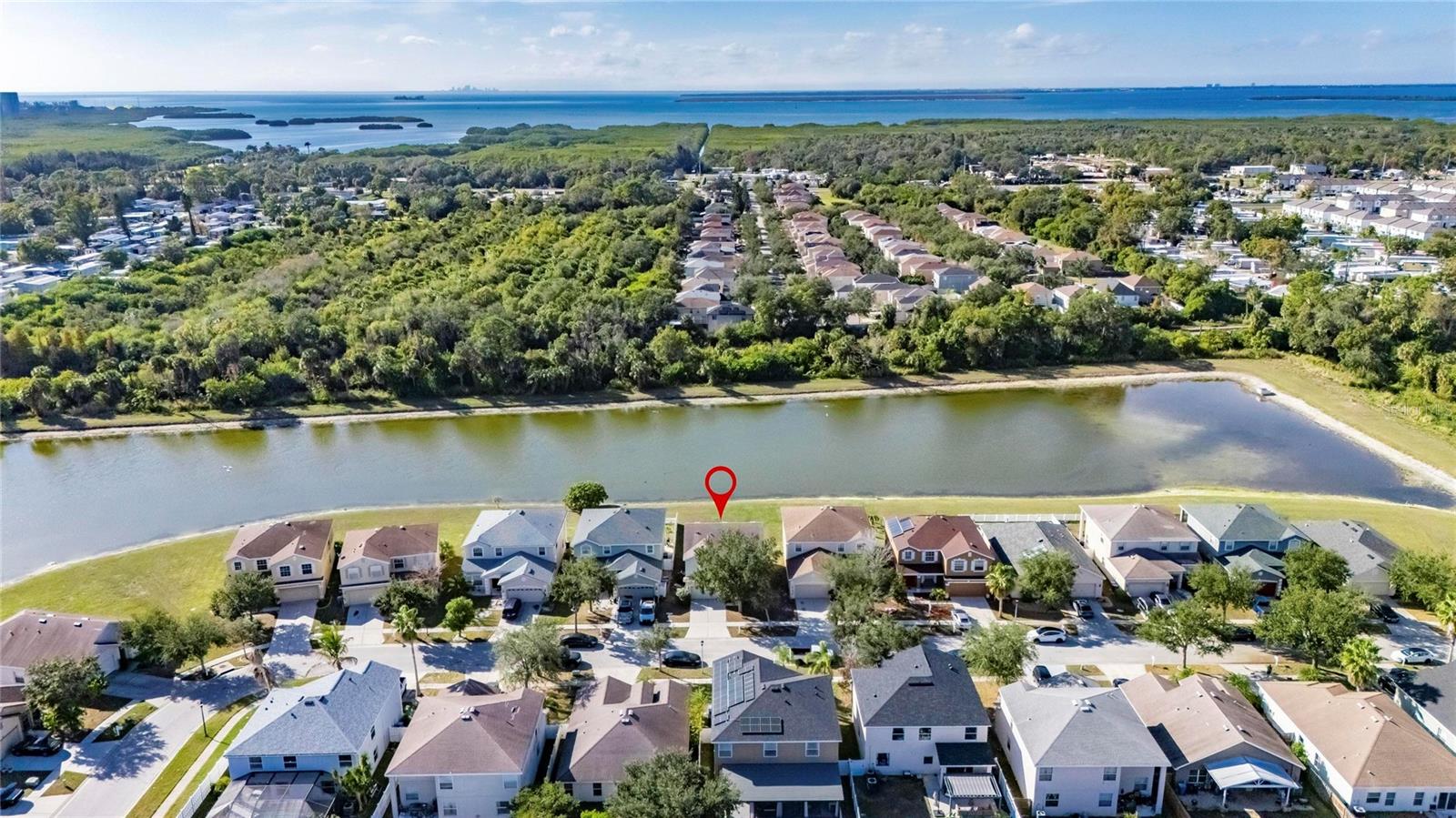 7520 DRAGON FLY LOOP