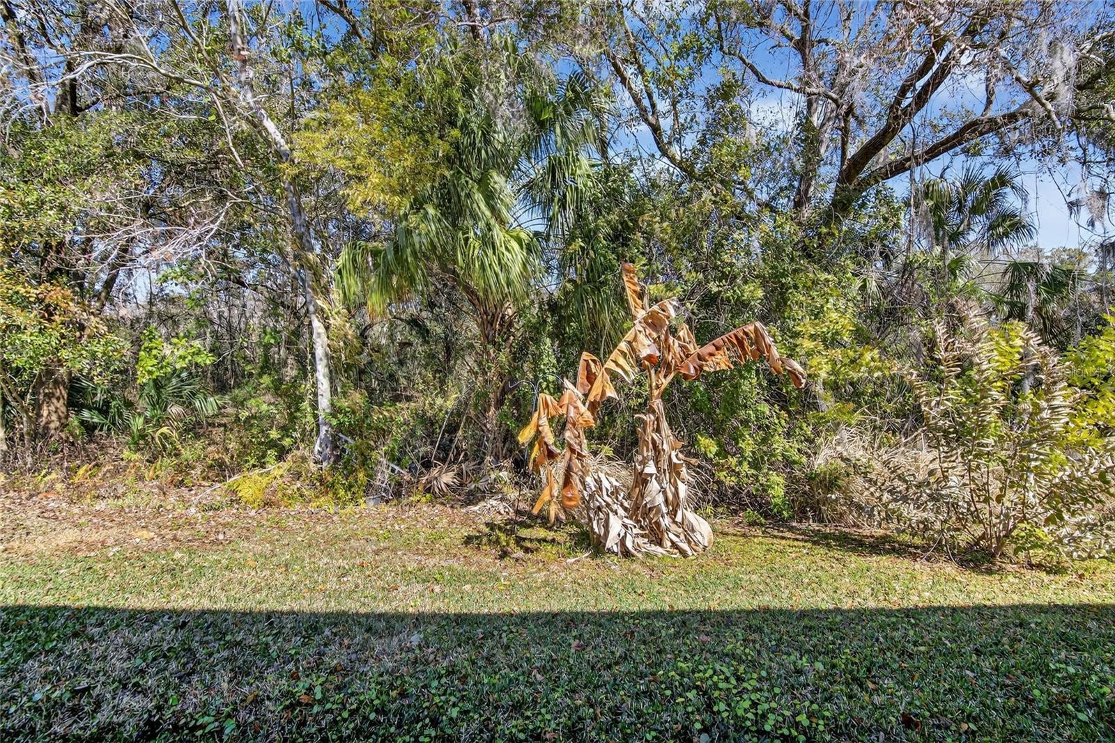 WHISPERING WOODS PH 2 & PHA - Residential