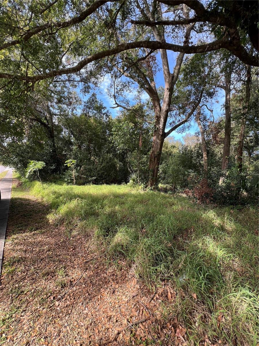 875 OCOEE APOPKA ROAD