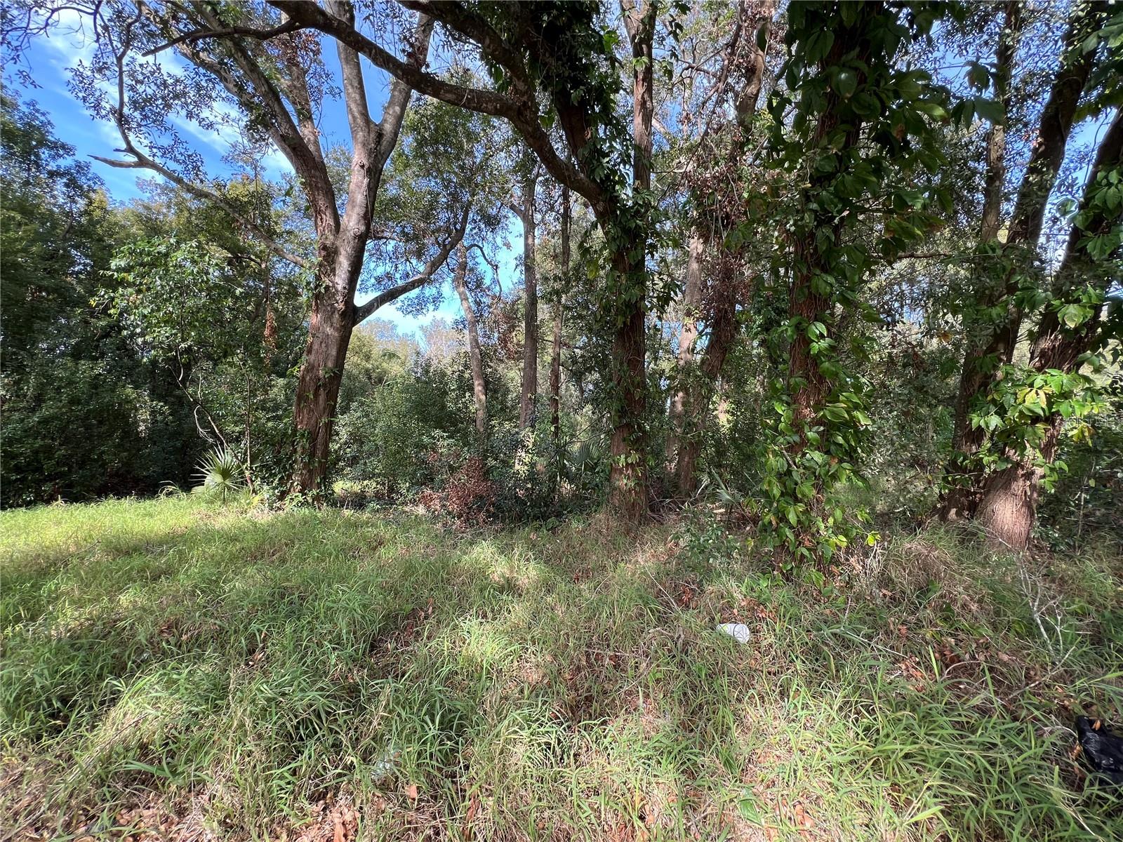 875 OCOEE APOPKA ROAD