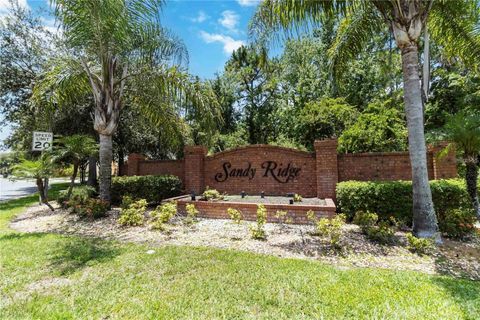 Photo of 165 Scrub Jay Way, Davenport, FL 33896 (MLS # O6360224)