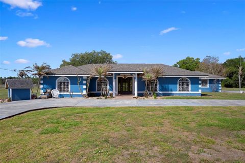 Photo of 3092 Golfview Drive, Wauchula, FL 33873 (MLS # A4691087)