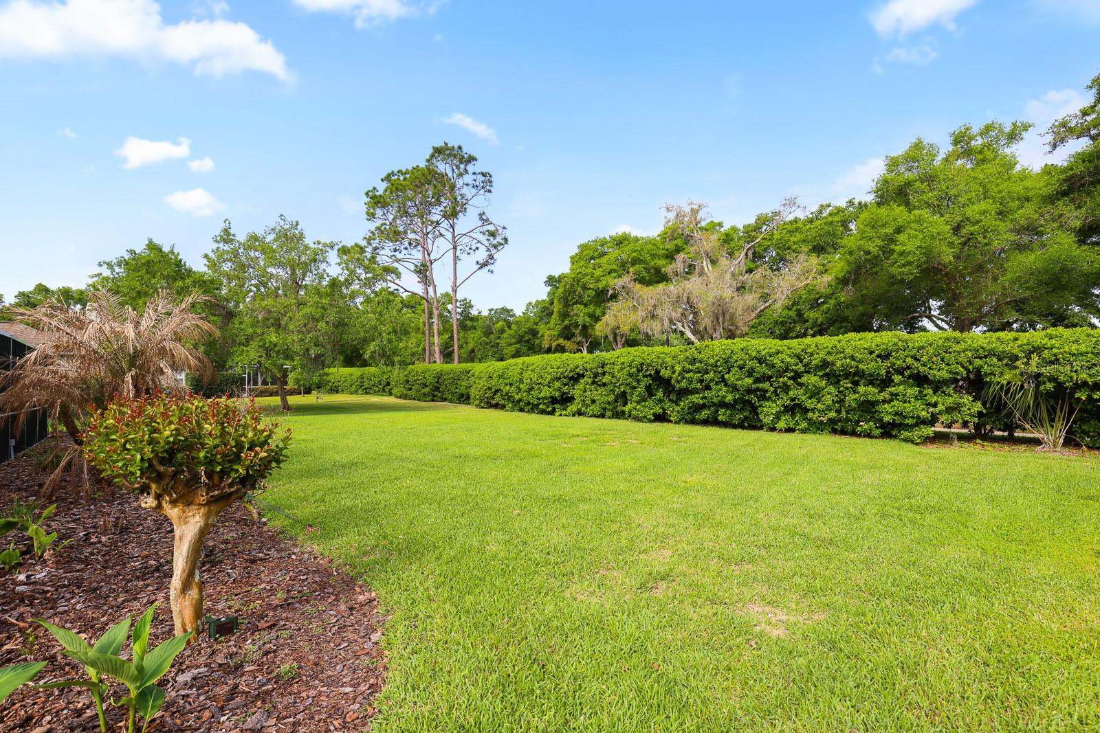 RIVER HILLS COUNTRY CLUB PARCE - Residential