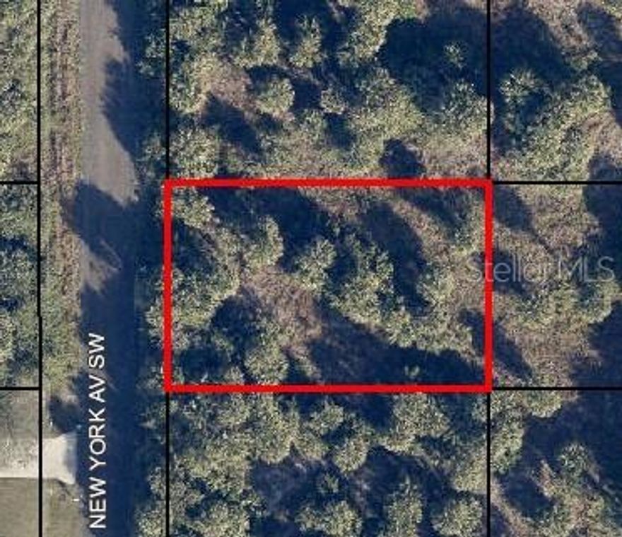 Discover the perfect spot to create your dream home or investment property in beautiful Palm Bay, Florida. This spacious vacant lot offers a peaceful setting while still being just a short drive from shopping, dining, schools, and local parks. Power lines pass directly by the property, providing convenient access to electricity. A well and septic tank will be needed to complete your build, giving you the flexibility to design your utilities exactly as you like. A member/manager of the owning LLC is a licensed real estate agent.