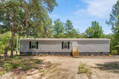 Tiny photo for 1051 NE 129 Avenue, Williston, FL 32696 (MLS # GC540081)