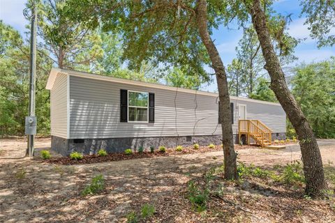 Tiny photo for 1051 NE 129 Avenue, Williston, FL 32696 (MLS # GC540081)