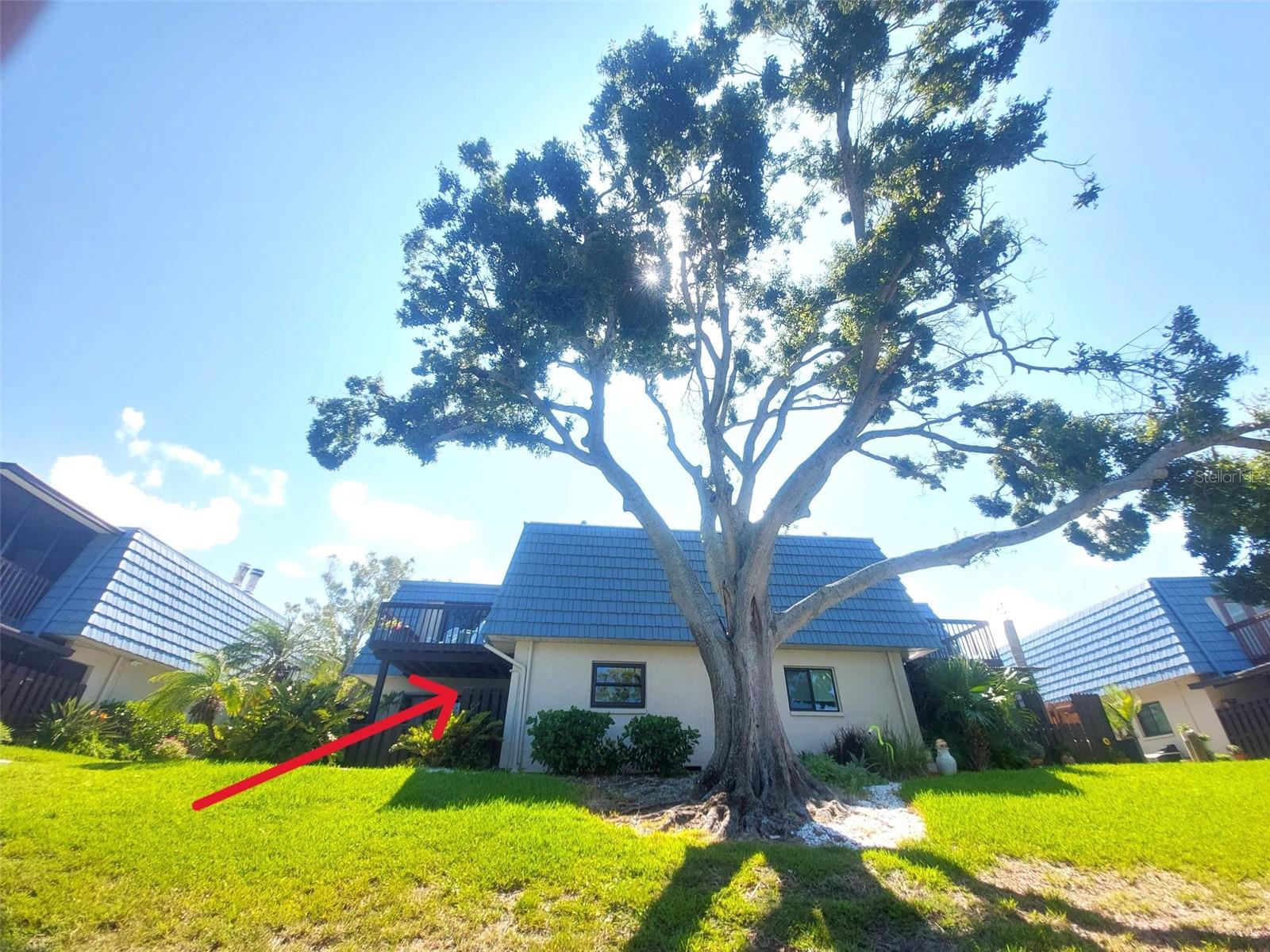 Imaging living on the water without having to have flood insurance!! Sellers lender does not require flood insurance with the 11' elevation. This charming two bedroom two bath townhome has been exceptionally well maintaned. It's located on a salt water canal, has a #10k lb boat lift (24' boat negotiable) and is just a few minutes ride to the Intercoastal Waterway or drive to the beautiful beaches in less than 10 minutes (depending on traffic of course)! The home offers a welcoming fireplace, two patios with water view (upstairs patio upgraded to composite decking), gerously sized bedrooms with sliding glass doors from both bedrooms to the upstairs patio, granite counter tops in kitchen, and the seller is offering a home warranty!!! A couple of Catalina Cove's community features include a heated pool and tennis courts. Only 40 homes in this quaint community - come be one of them.