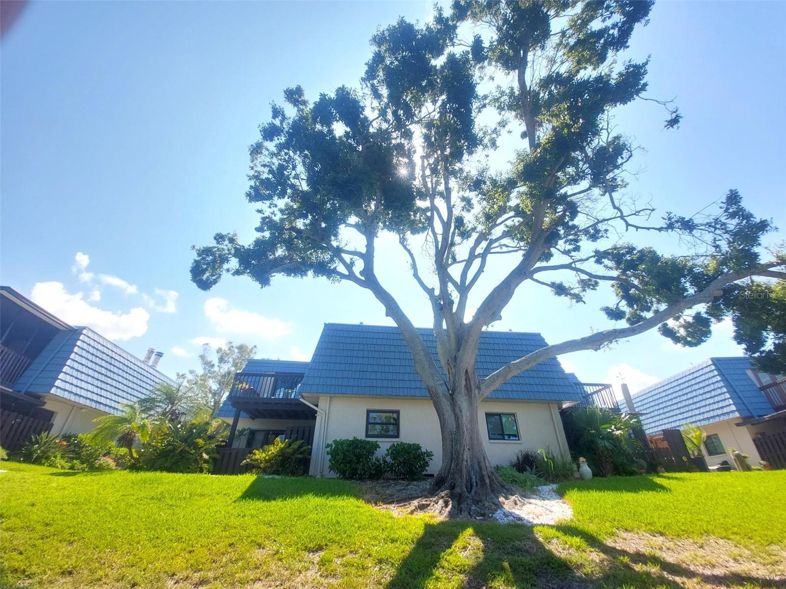 Imaging living on the water without having to have flood insurance!! Sellers lender does not require flood insurance with the 11' elevation. This charming two bedroom two bath townhome has been exceptionally well maintaned. It's located on a salt water canal, has a #10k lb boat lift (24' boat negotiable) and is just a few minutes ride to the intercoastal waterway or drive to the beautiful beach in less than 10 minutes (depending on traffic of course)! The home offers a welcoming fireplace, two patios with water view (upstairs patio upgraded to composite decking), gerously sized bedrooms with sliding glass doors from both bedrooms to the upstairs patio, granite counter tops in kitchen, and the seller is offering a home warranty!!! Community features include a pool and tennis courts. Only 40 homes in this quaint community - come be one of them.