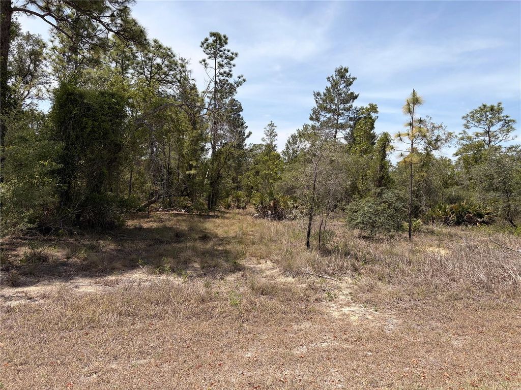 Photo of 13230 Taft Street, Brooksville, FL 34613 (MLS # TB8505700)