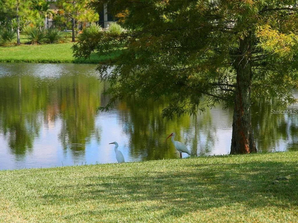 GREENBROOK VILLAGE SP KK UN 1 - Residential Lease