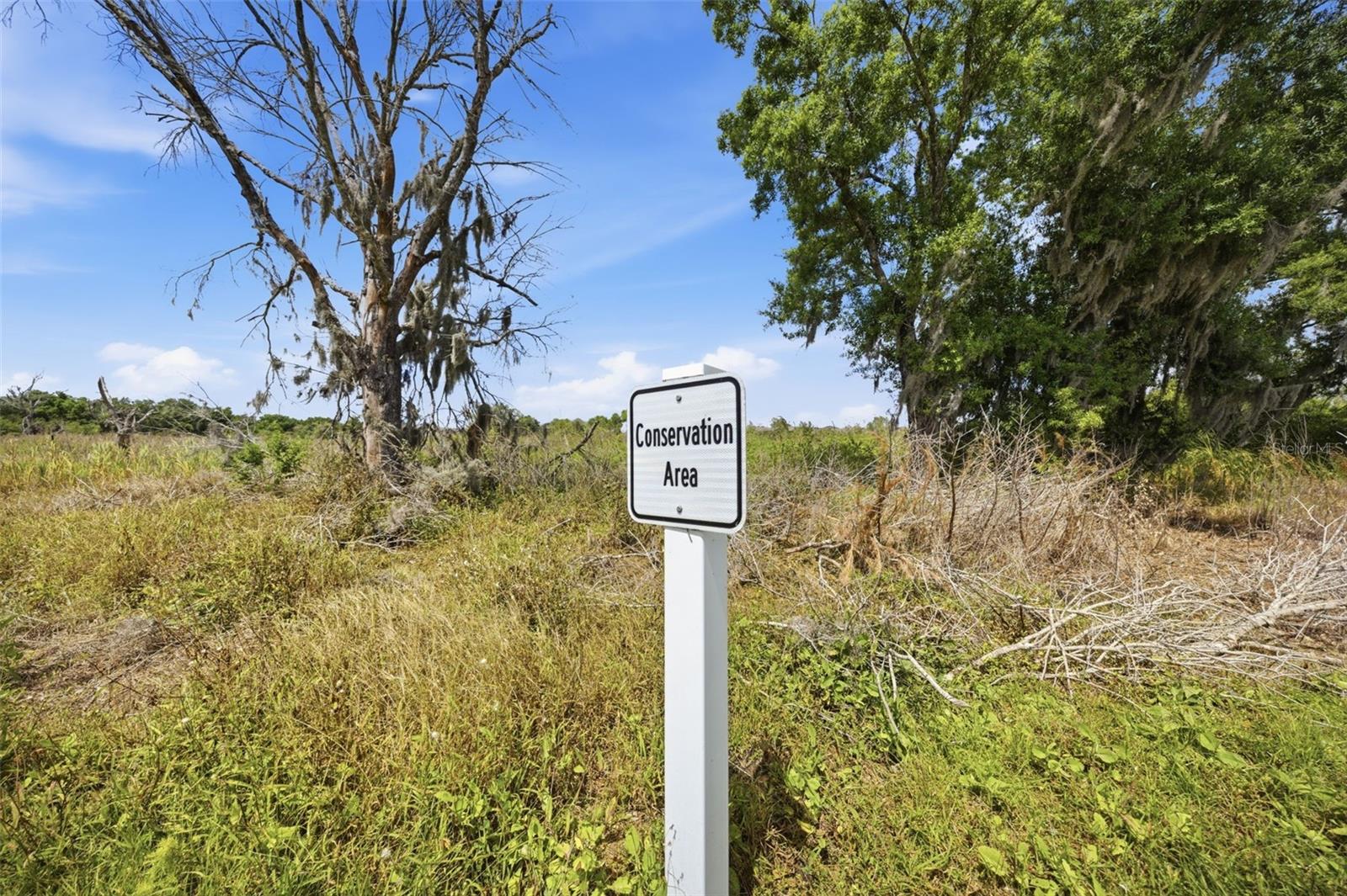SOLERA AT LAKEWOOD RANCH PH II - Residential