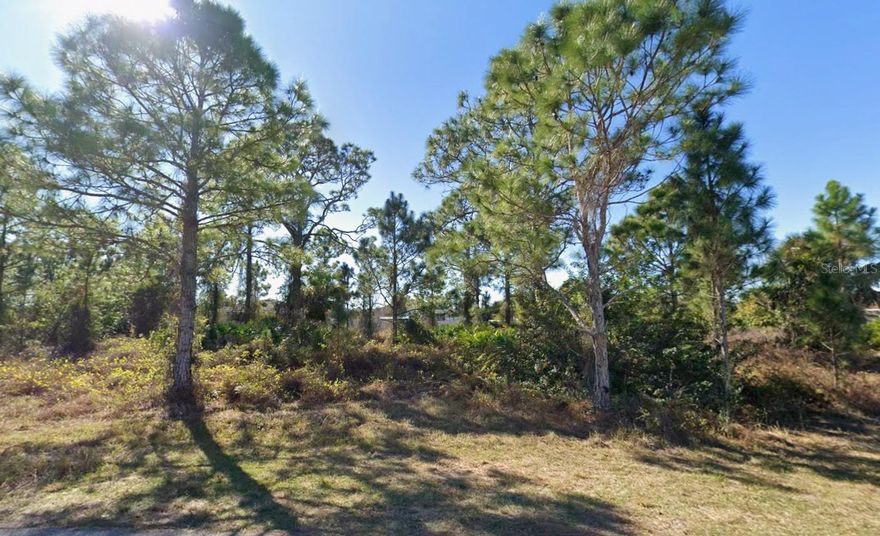 Build your dream home on this attractive 0.23-acre vacant lot in a quiet and steadily developing area of Lehigh Acres. Surrounded by newer homes and peaceful streets, this property offers a great opportunity for a future residence or long-term investment. The location provides quick access to SR-82, shopping, schools, and everyday conveniences while still maintaining a private, residential feel. With no HOA or deed restrictions, you have the freedom to design the home and lifestyle you envision. This growing corridor continues to see strong demand, making 1024 Arbordale St an excellent choice for builders, buyers, or investors looking for a well-positioned lot in a thriving community.