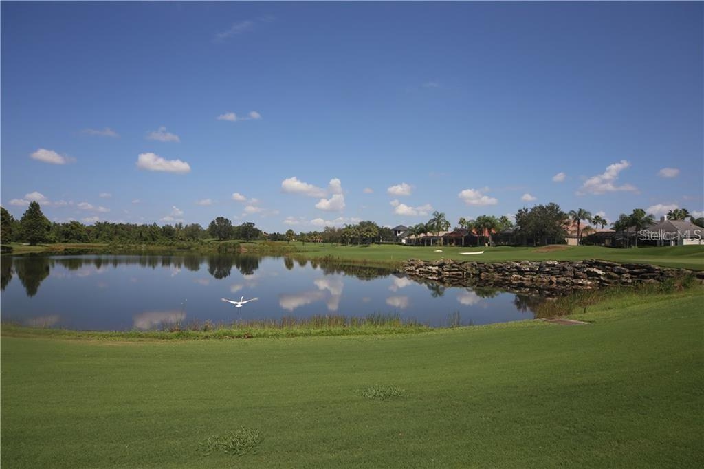 STONEYBROOK AT HERITAGE H SPA U1PB39/160 - Residential Lease