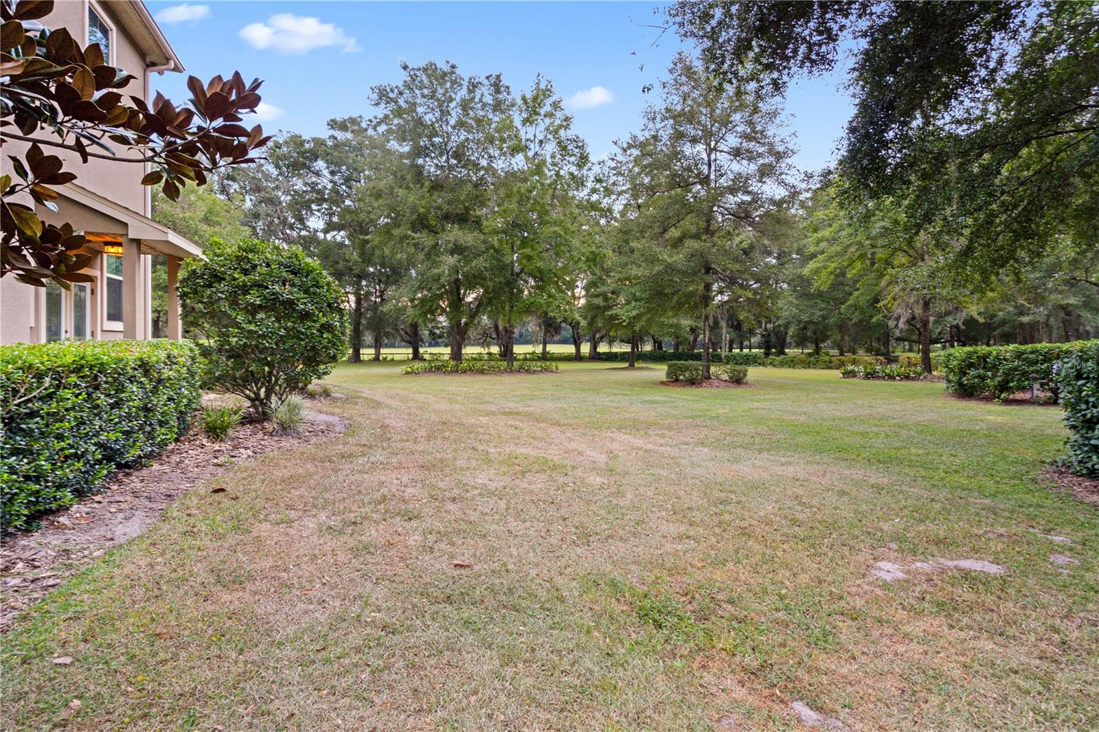 SANTA FE FOREST - Residential