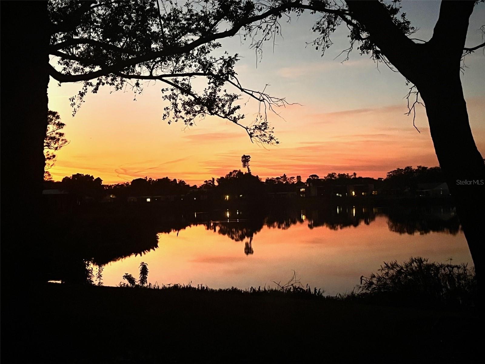 308 TIMBER LAKE DRIVE
