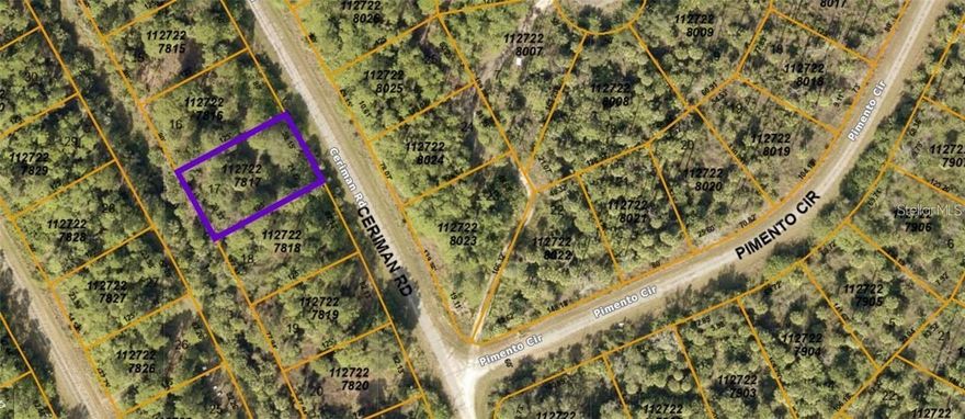Looking for a Country-style living yet located only minutes from the center of North Port and Port Charlotte with close proximity to schools, restaurants, shopping, parks and famous new Aquapark in North Port. You may have found it. Located very close proximity to RV Griffin reserve - over 2,485 - acre preserve with pine flatwood views and 21 miles of hiking, biking and horseback riding trails. Easy access to several major airports making travel easy. Close to many public boat ramps where you can launch your boat to the open waters of Charlotte Harbor and the Gulf. No deed restrictions, HOA fees. Give the call to make it yours.