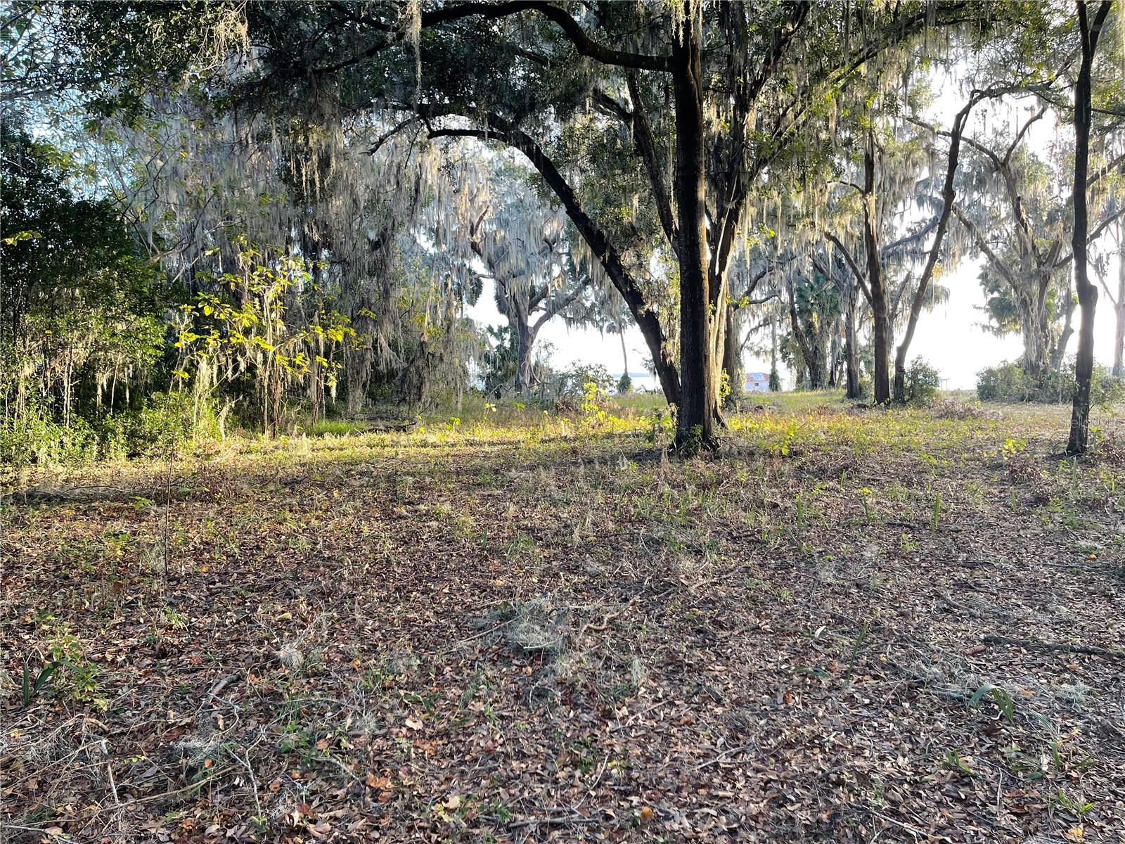 LAKE VIEW - Land