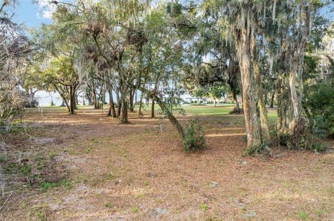 13254 E HIGHWAY 25 OCKLAWAHA FL 32179