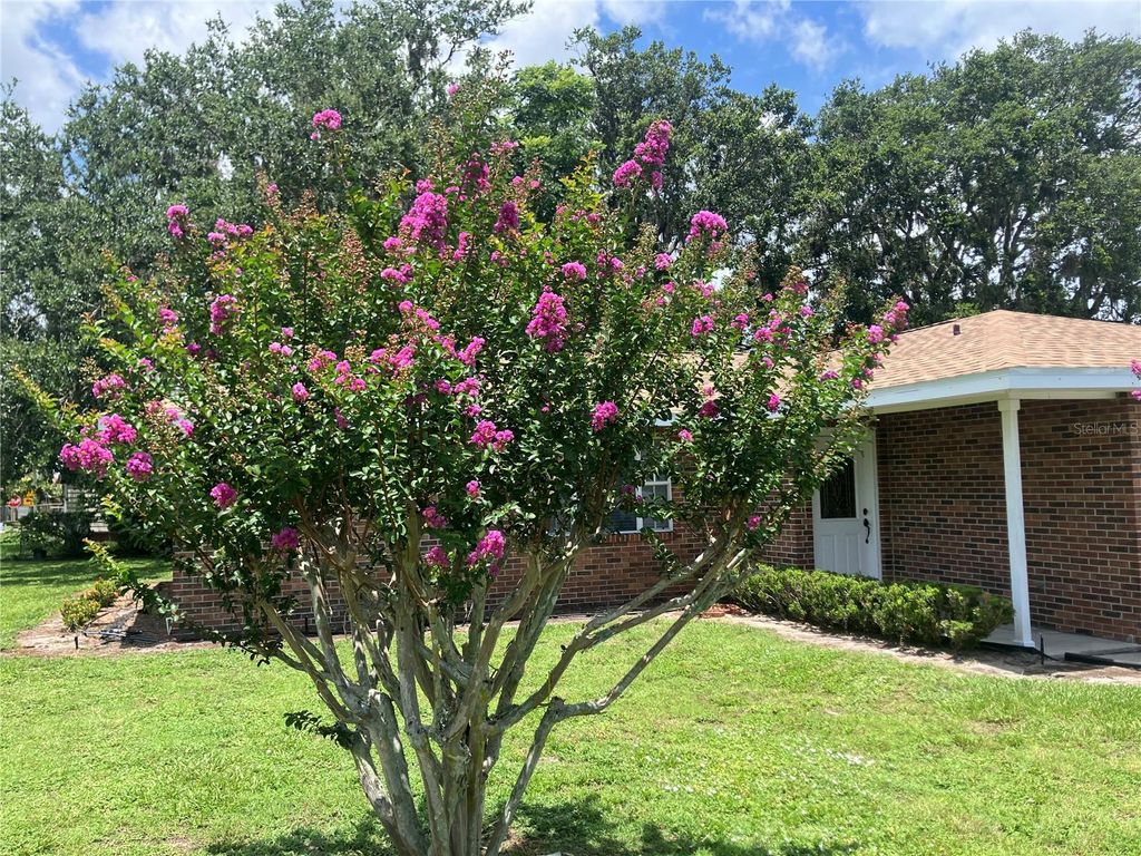 Photo of 210 S 11th Avenue, Wauchula, FL 33873 (MLS # A4669153)