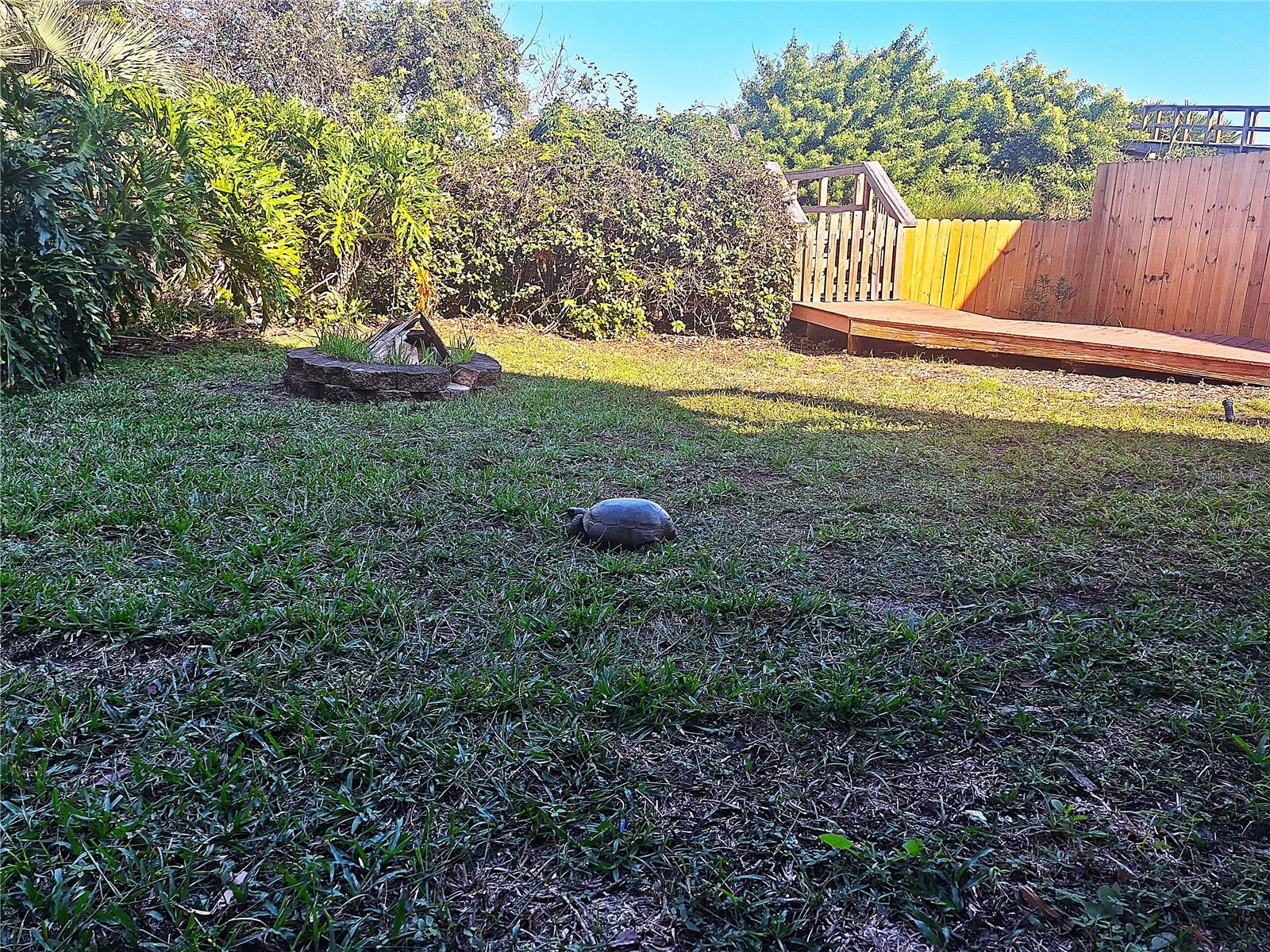 ANASTASIA HILLS - Residential