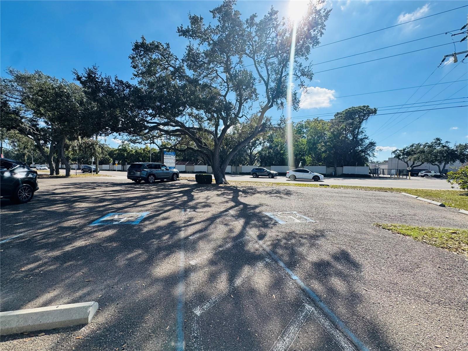 4509 BEE RIDGE ROAD - Commercial Sale