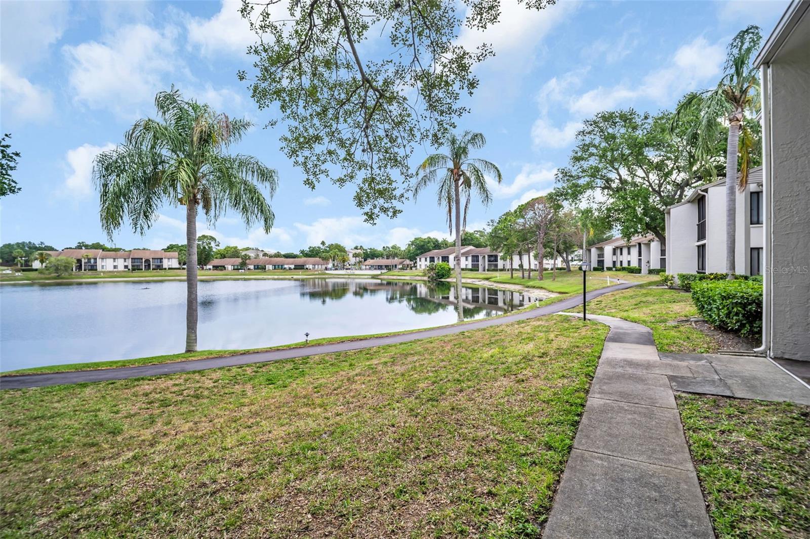 PINE RIDGE AT PALM HARBOR - Residential Lease