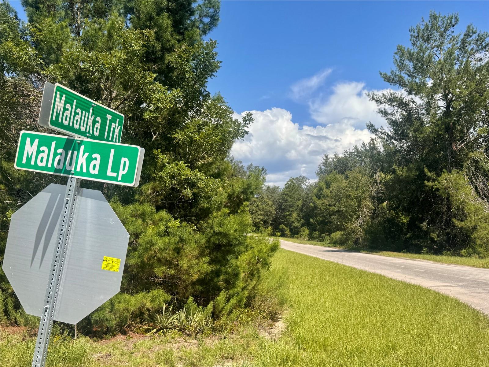 SILVER SPGS SHORES UN 35 - Land