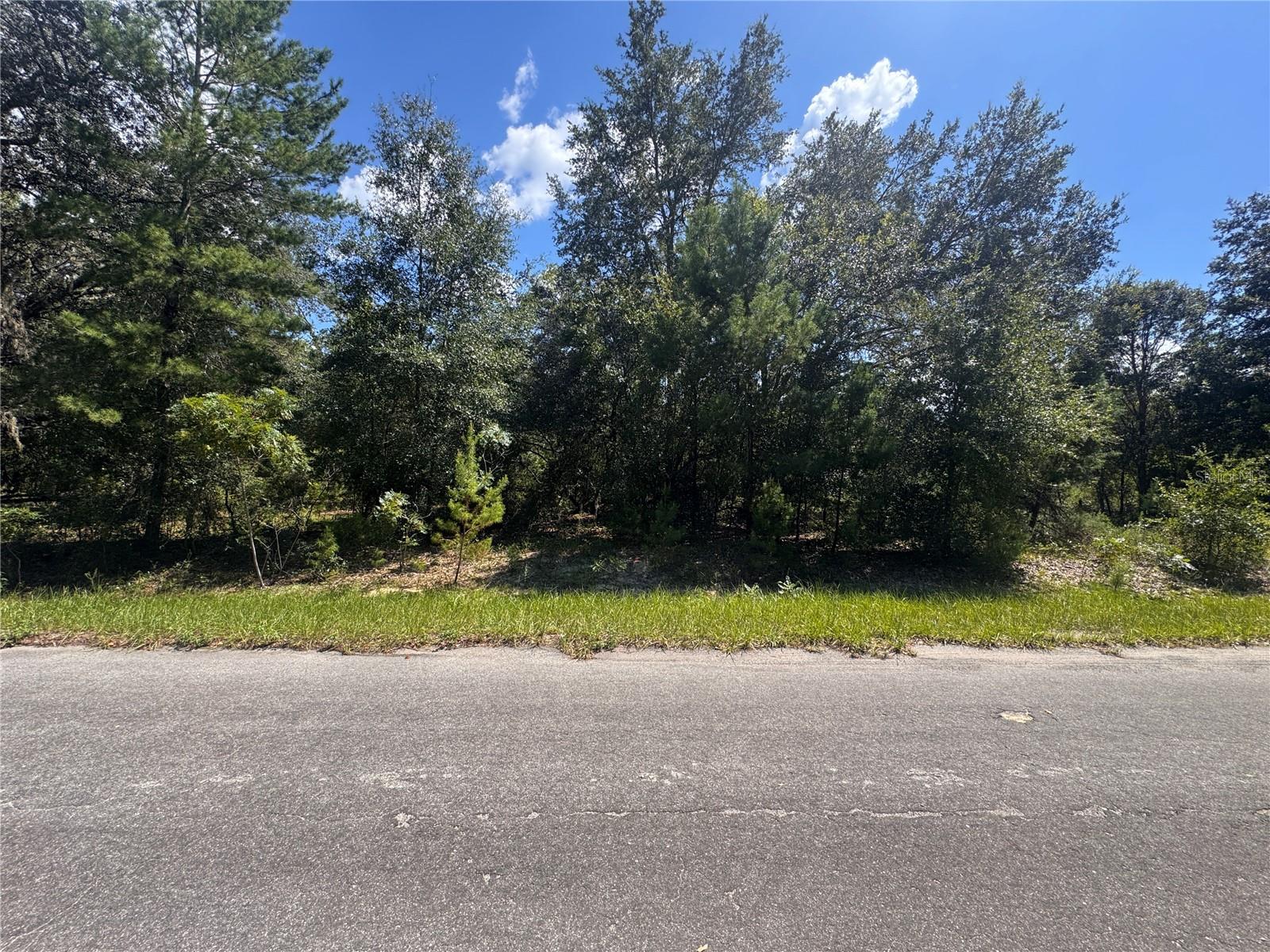 SILVER SPGS SHORES UN 35 - Land