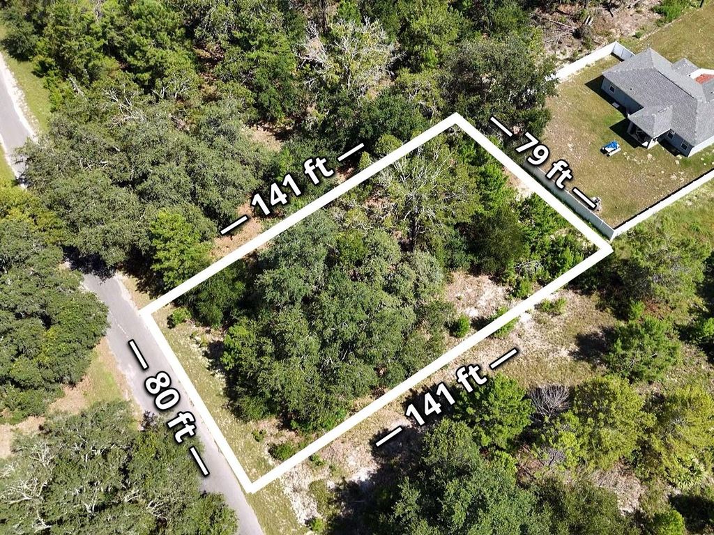 Photo of Malauka Track, Ocklawaha, FL 32179 (MLS # O6337952)