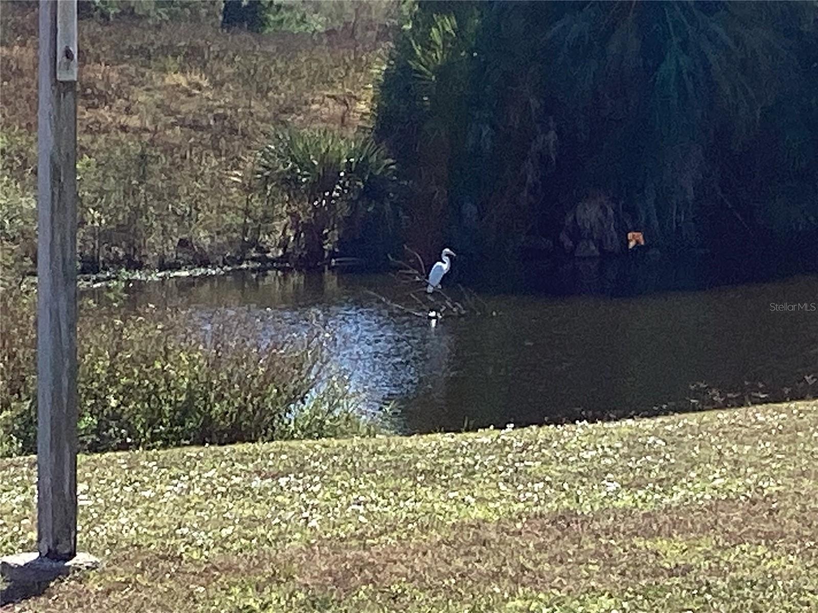 PORT CHARLOTTE GOLF CRSE SEC - Residential