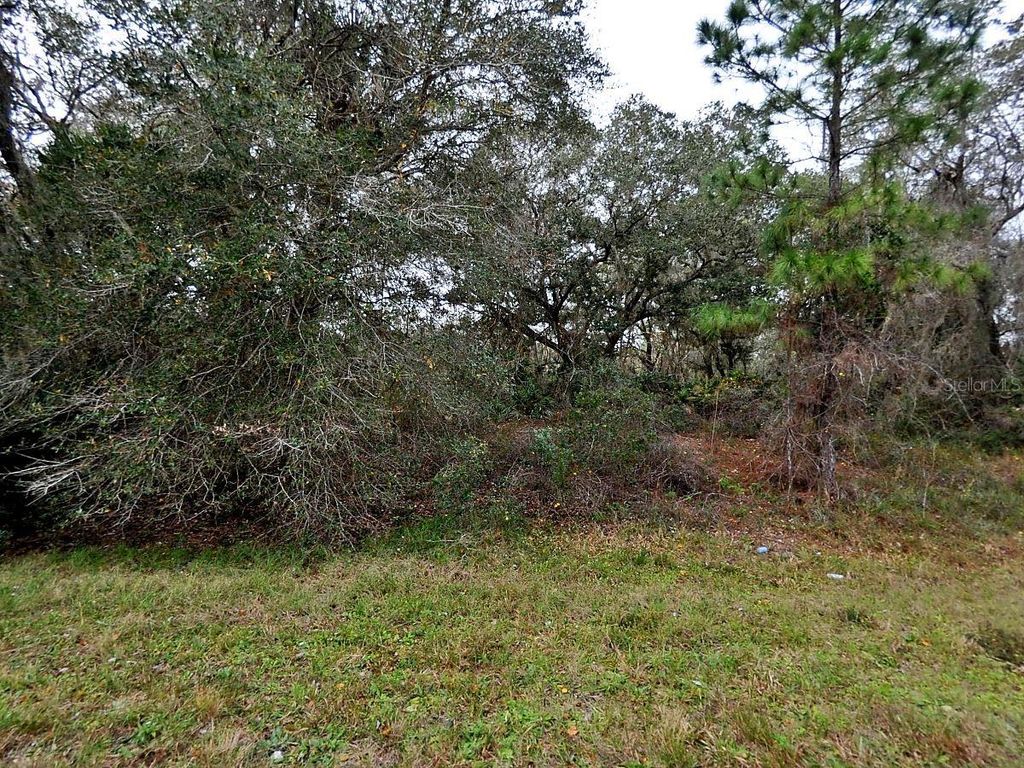 Photo of Banger Lane, North Port, FL 34291 (MLS # TB8376979)