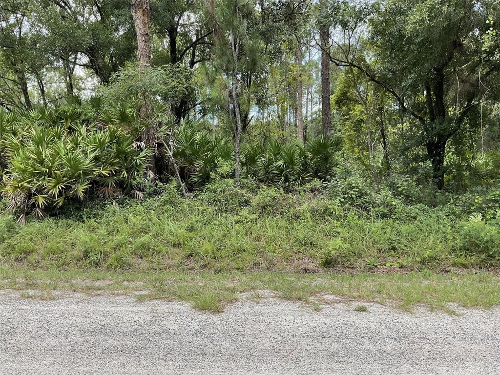Photo of 4940 Kenneth Street, Hastings, FL 32145 (MLS # FC320578)