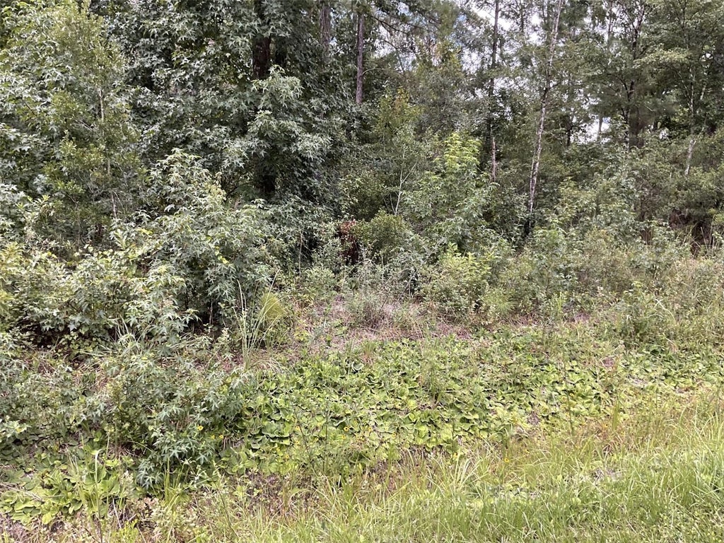 Photo of 4940 Kenneth Street, Hastings, FL 32145 (MLS # FC320578)