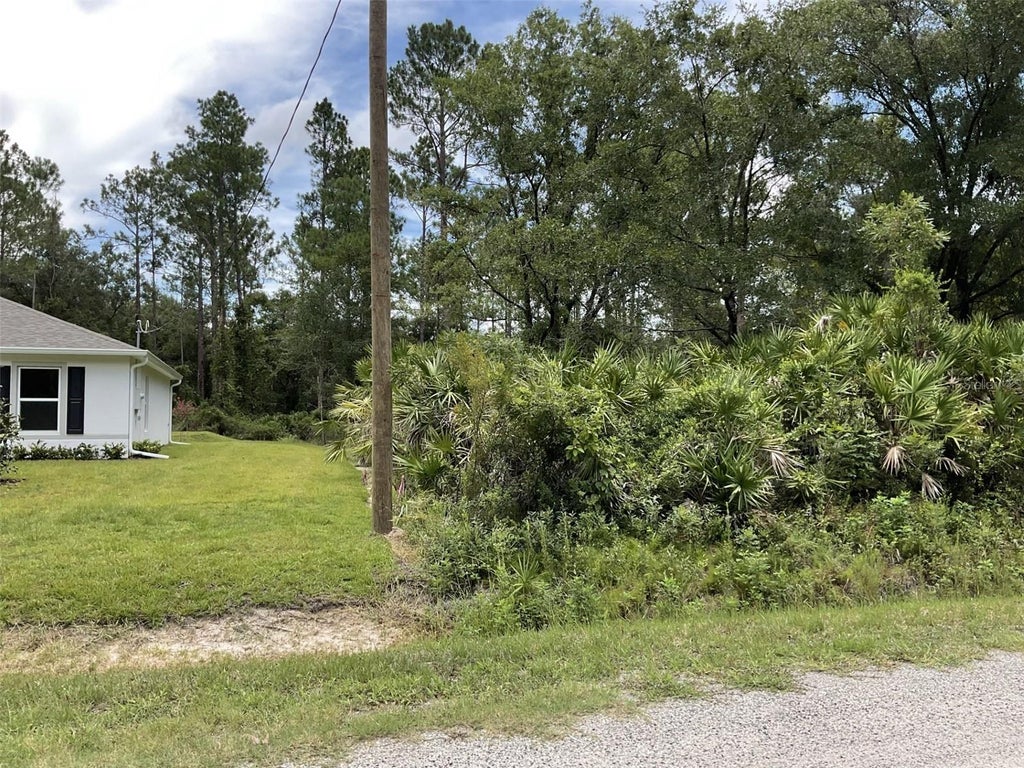Photo of 4940 Kenneth Street, Hastings, FL 32145 (MLS # FC320578)
