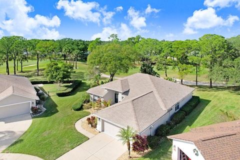 Photo of 5302 Waterleaf Court, Valrico, FL 33596 (MLS # TB8460061)