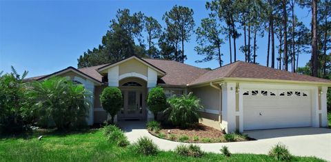 A home in PALM COAST