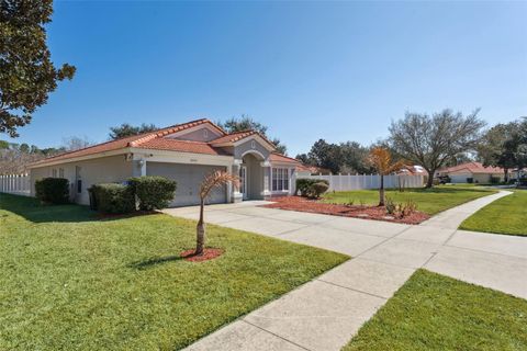 Photo of 11355 Arborside Bend Way, Windermere, FL 34786 (MLS # O6377273)