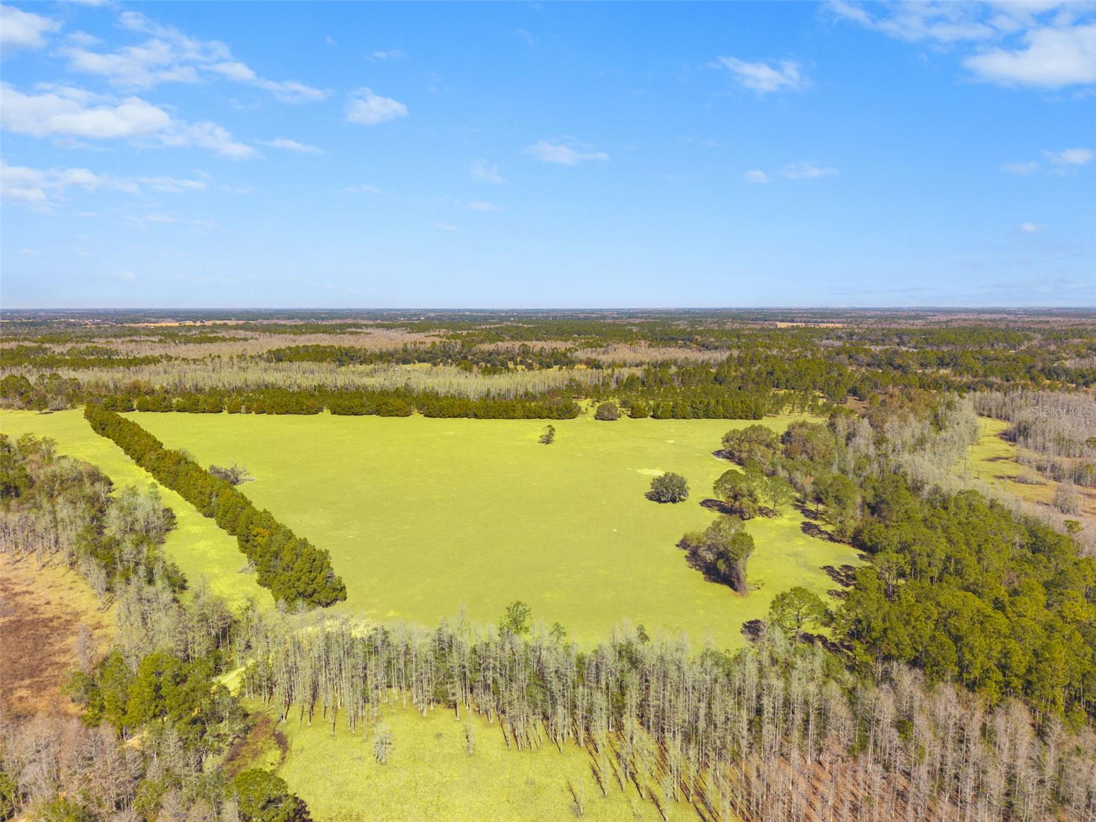 GROVELAND FARMS 23-23-24 - Land