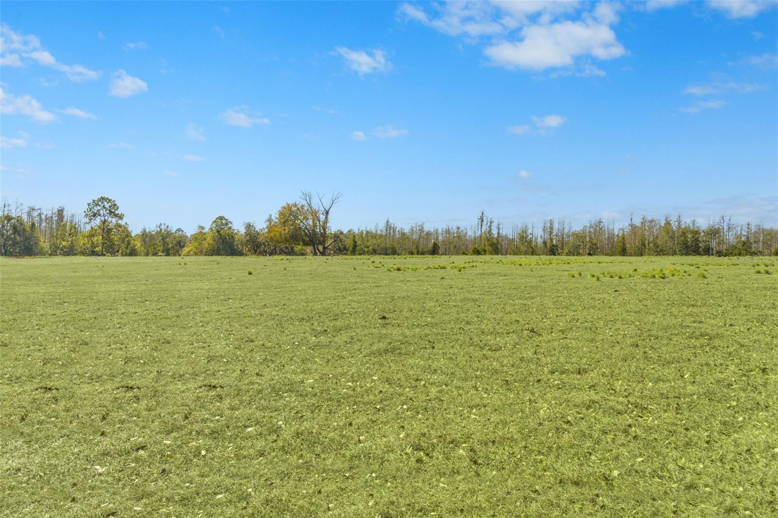 GROVELAND FARMS 23-23-24 - Land