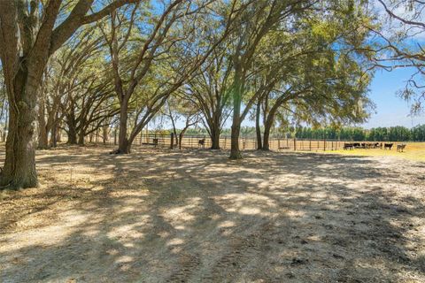Tiny photo for Lake Erie Road, Groveland, FL 34736 (MLS # W7883334)