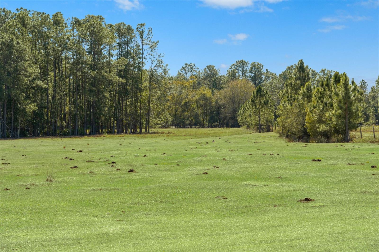 GROVELAND FARMS 23-23-24 - Land