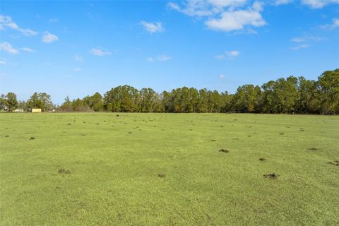 Tiny photo for Lake Erie Road, Groveland, FL 34736 (MLS # W7883334)