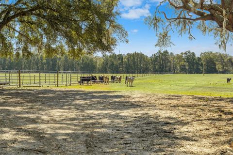 Tiny photo for Lake Erie Road, Groveland, FL 34736 (MLS # W7883334)