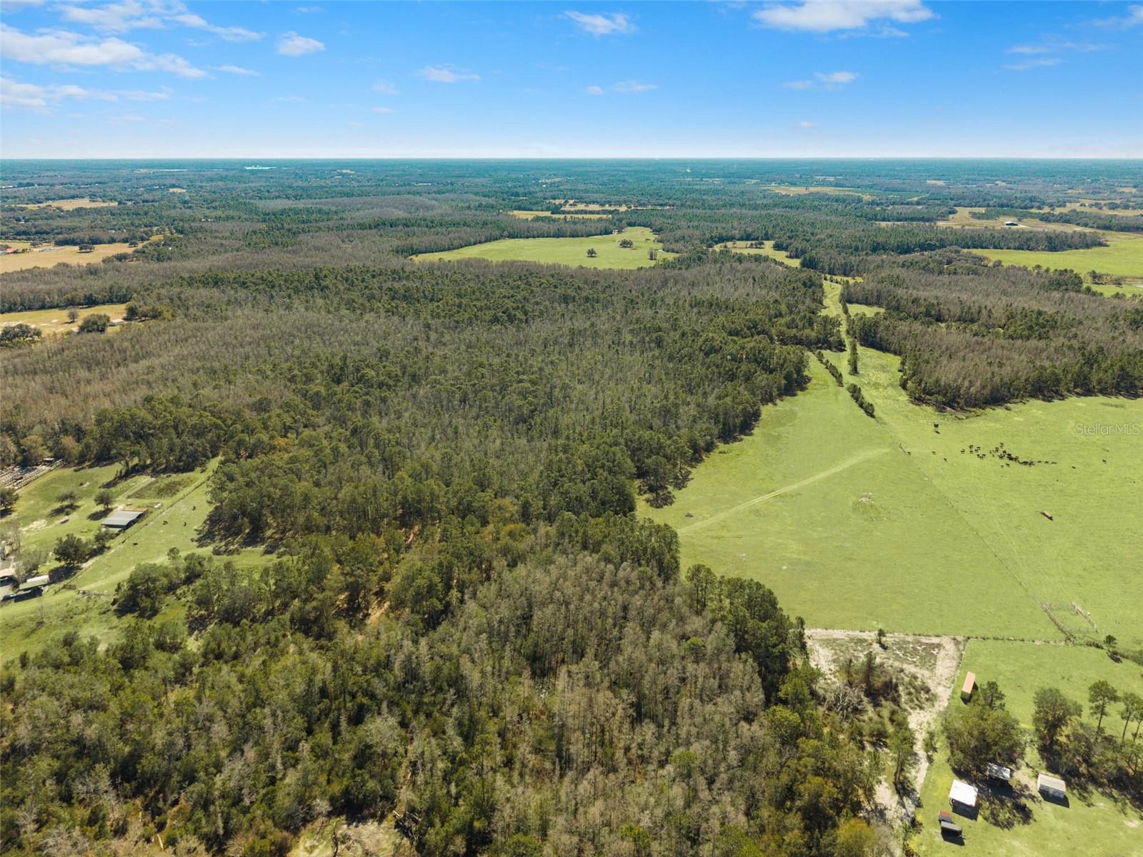 GROVELAND FARMS 23-23-24 - Land