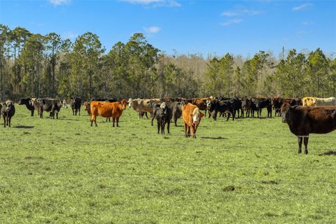 Tiny photo for Lake Erie Road, Groveland, FL 34736 (MLS # W7883334)
