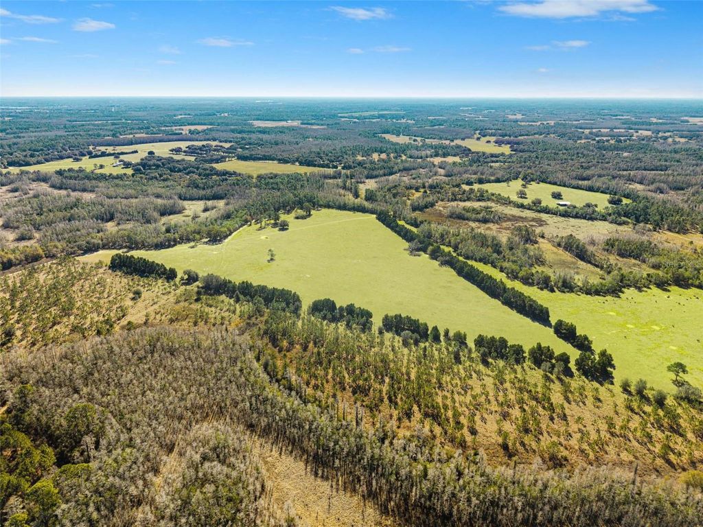 Photo of Lake Erie Road, Groveland, FL 34736 (MLS # W7883334)