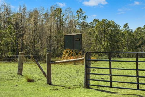 Tiny photo for Lake Erie Road, Groveland, FL 34736 (MLS # W7883334)