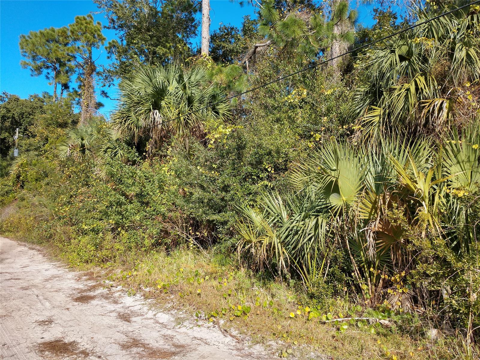 Park Ave Estates - Land